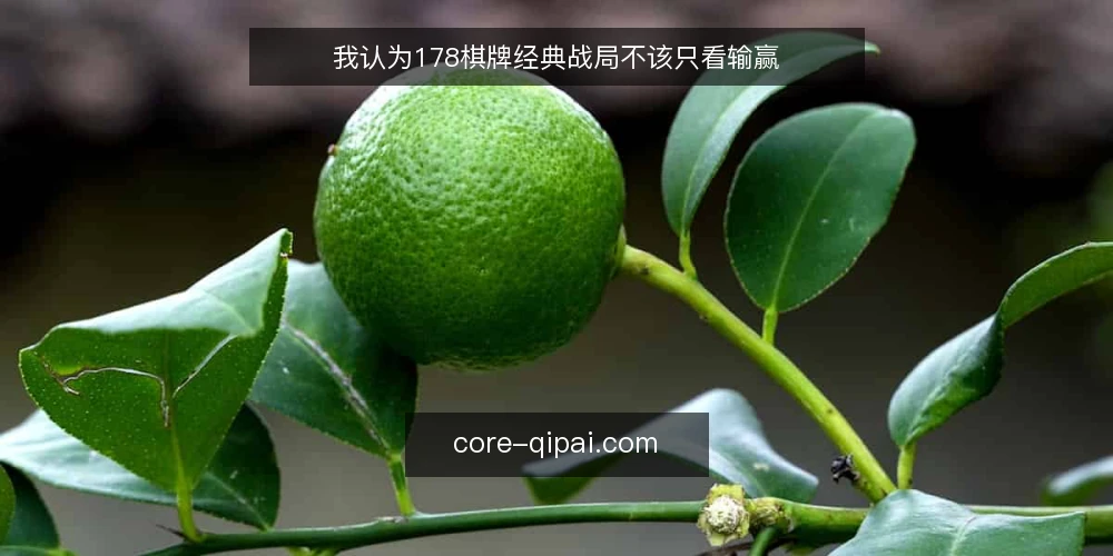 我认为178棋牌经典战局不该只看输赢 — 为什么只看输赢会误读经典战局 配图